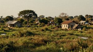 Understanding the Clash Over Ugandan Wetlands: The Ntungamo Enforcement